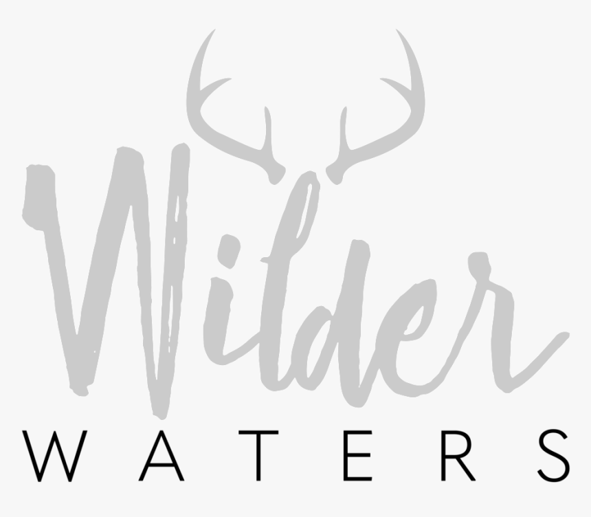 Transparent Maine Outline Png - Calligraphy, Png Download