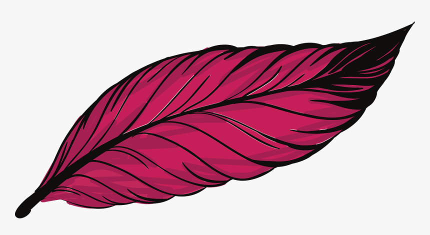 Pen Feathers Bird Free Photo - Animal Feather Clip Art, HD Png Download