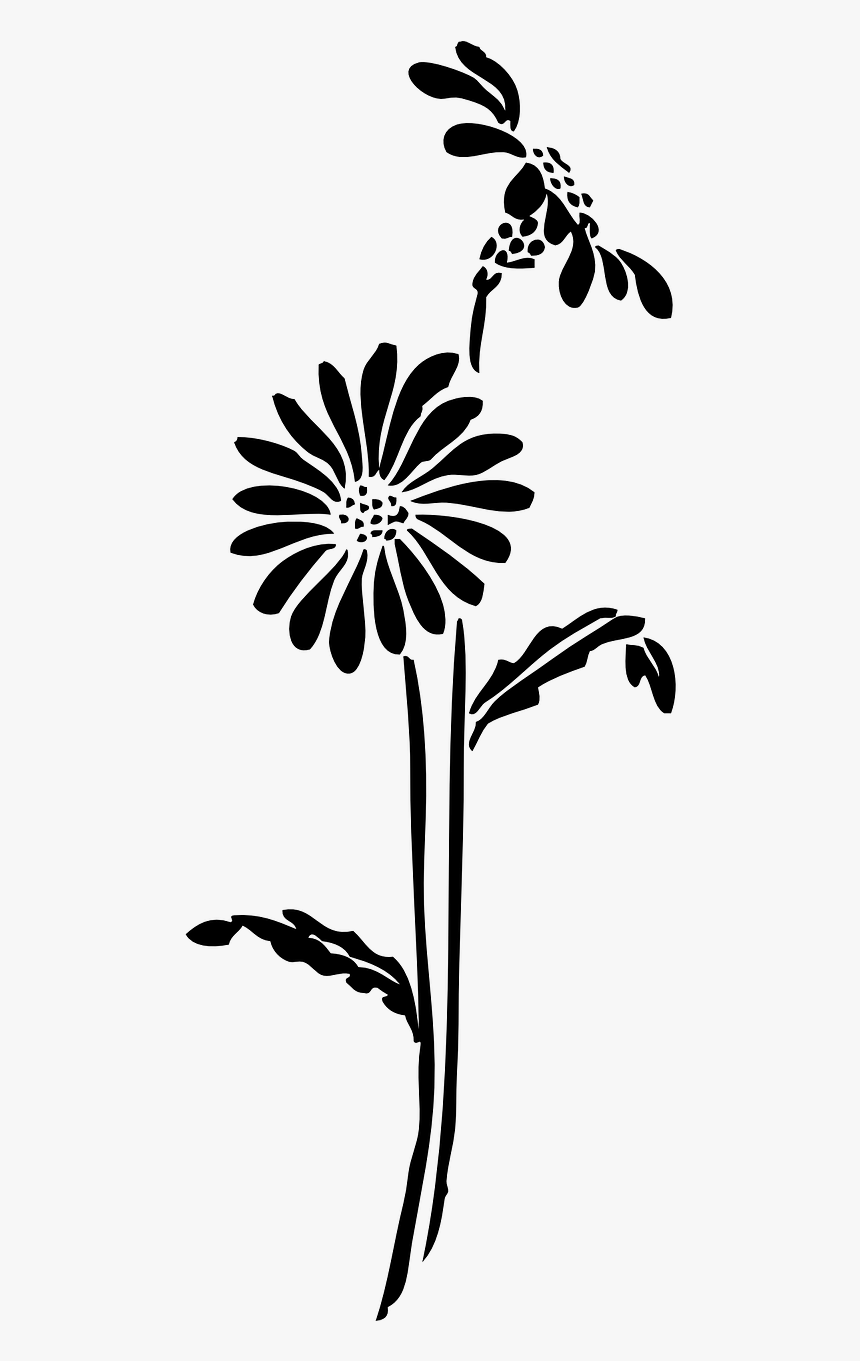 Transparent Flower Silhouette, HD Png Download