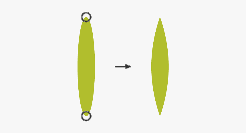 Creating The Palm Leaf - Illustration, HD Png Download