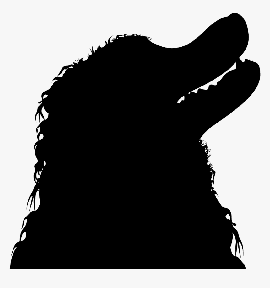 Transparent Alligator Silhouette Png - Illustration, Png Download