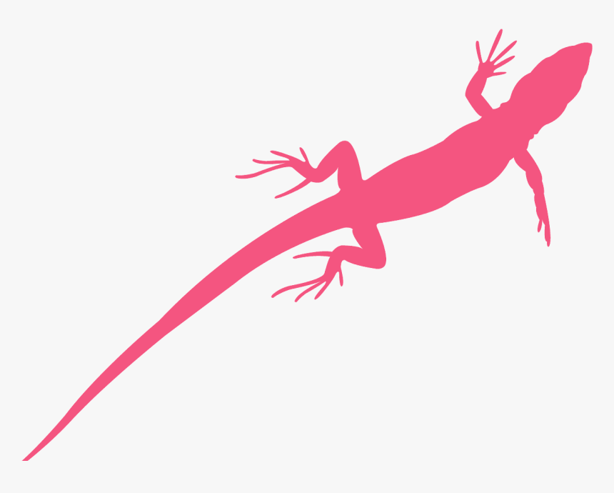 Iguania, HD Png Download