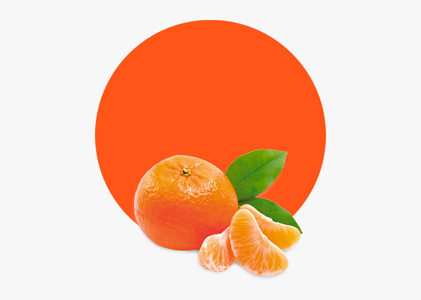 Mandarin Orange Fruit, HD Png Download