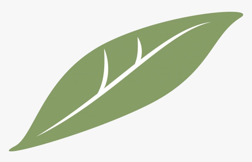 Clementine Global - Bay Laurel, HD Png Download