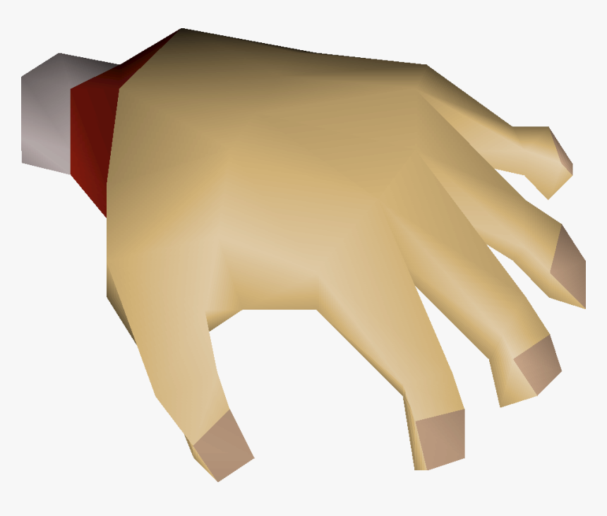 Bear, HD Png Download