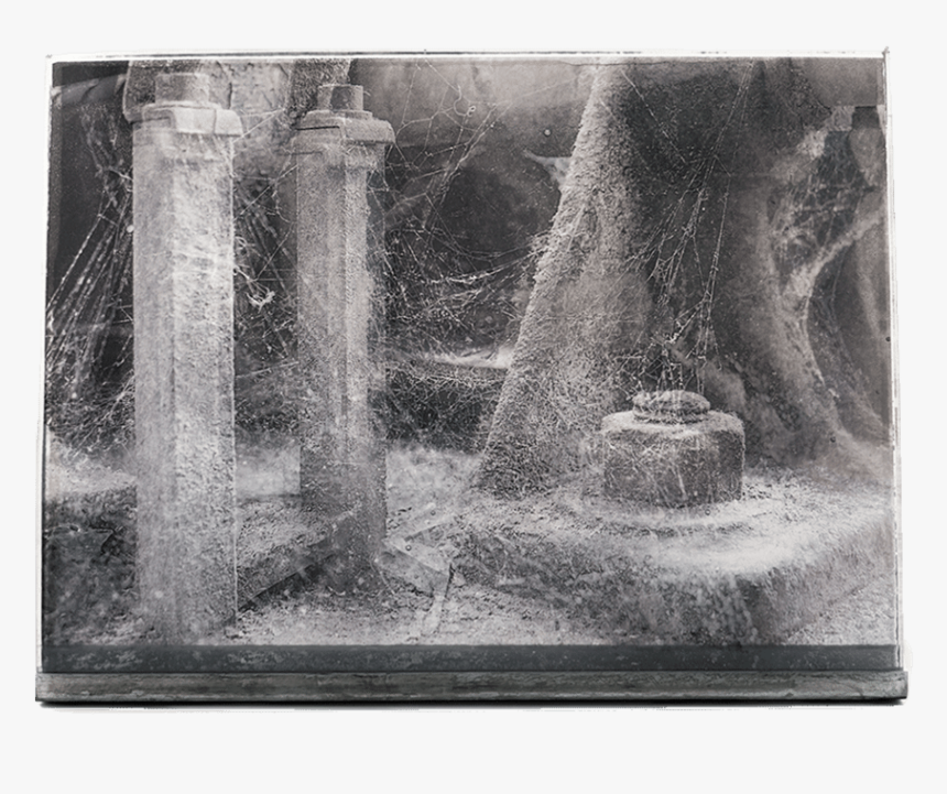 Visual Arts, HD Png Download