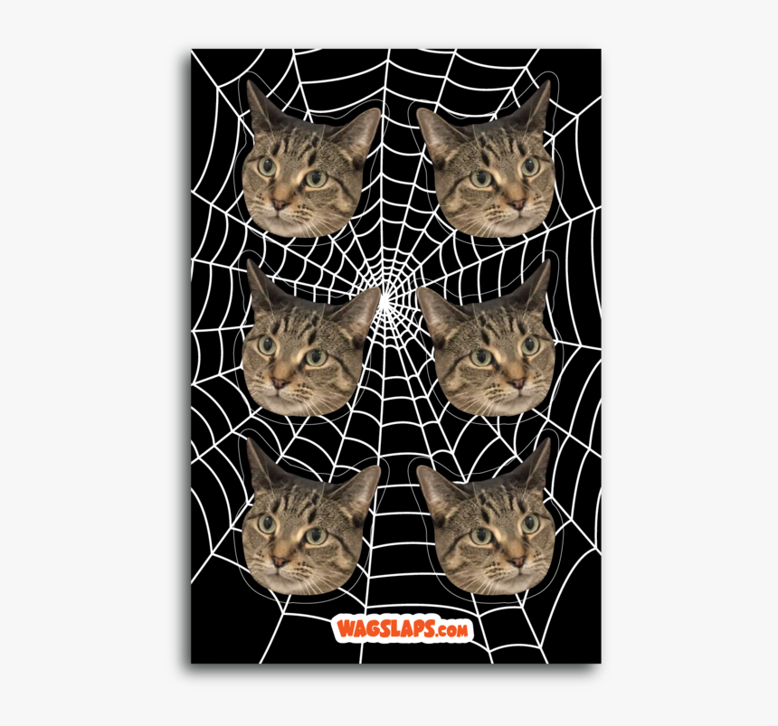 Abyssinian, HD Png Download