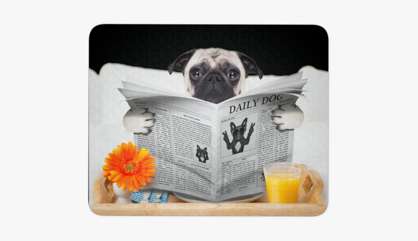 Pugs News Mouse Pad - Boarding Dogs, HD Png Download