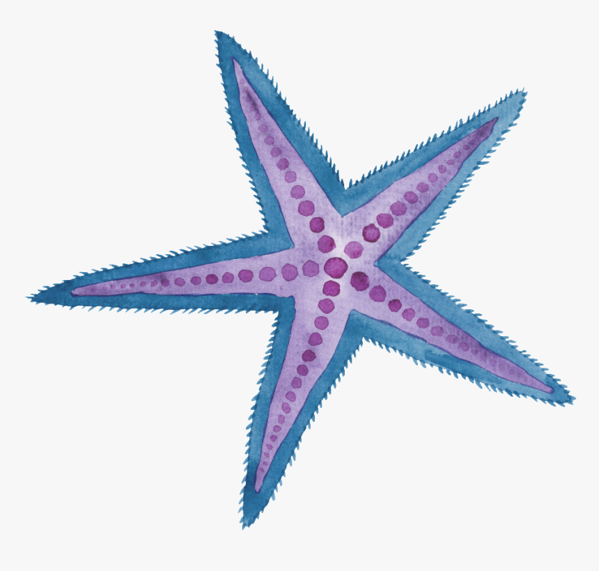 Two Color Hand Painted Starfish Cartoon Watercolor - Watercolor Star Fish Png, Transparent Png