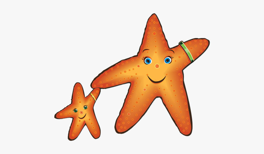 Sandi Starfish To Help Kids Stay Safe This Summer - Starfish, HD Png Download