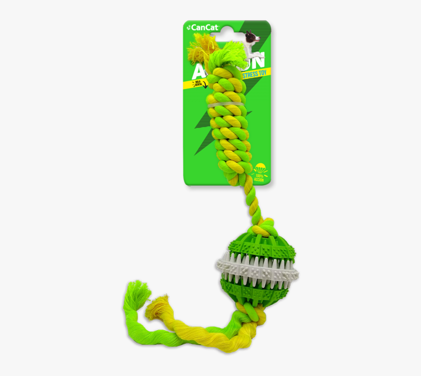 Houseplant, HD Png Download