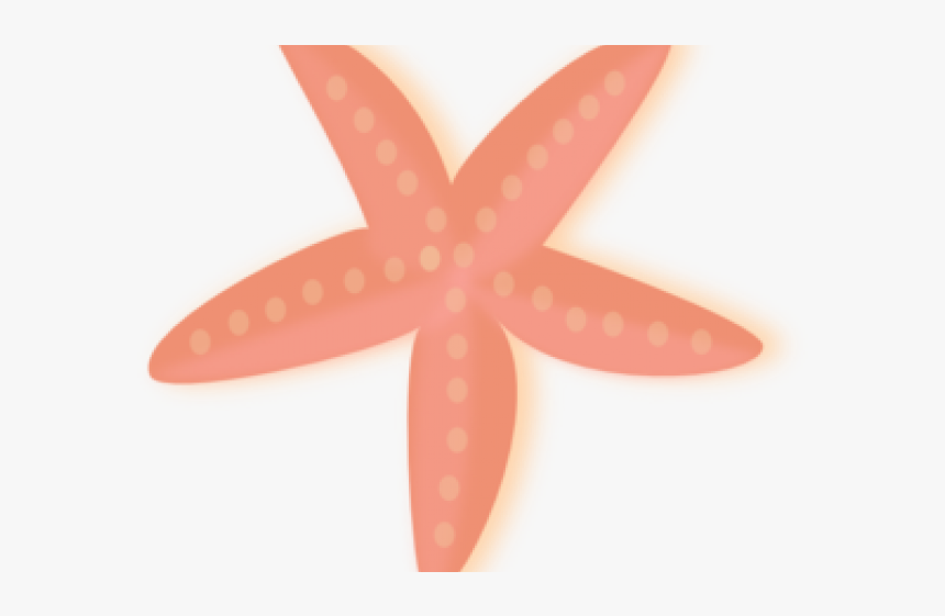 Starfish, HD Png Download