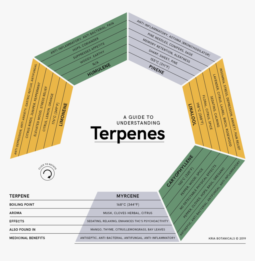 1 - Paper, HD Png Download