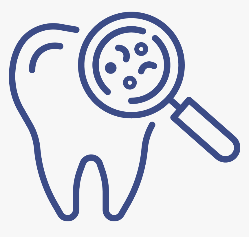 Dentistry, HD Png Download