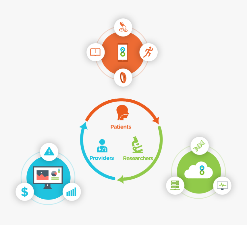 Lifemap Solutions, HD Png Download