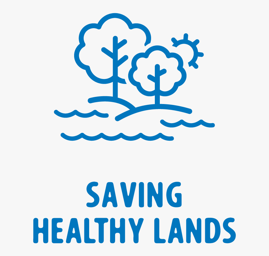 Pc Icon Green Land - Health Expenditure In Bangladesh, HD Png Download
