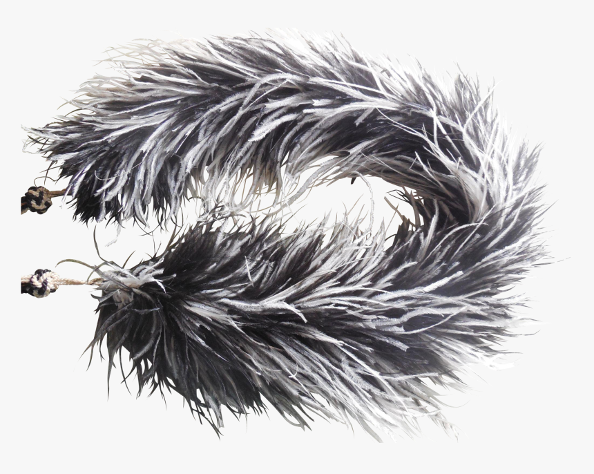 Feather Boa Png, Transparent Png