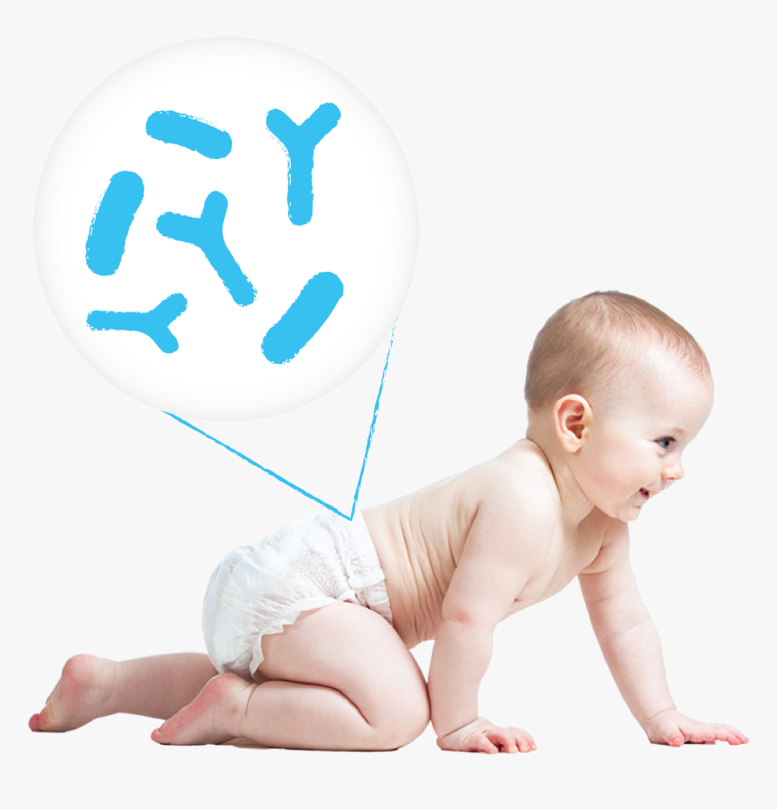 Transparent Baby Crawling Png - Baby, Png Download