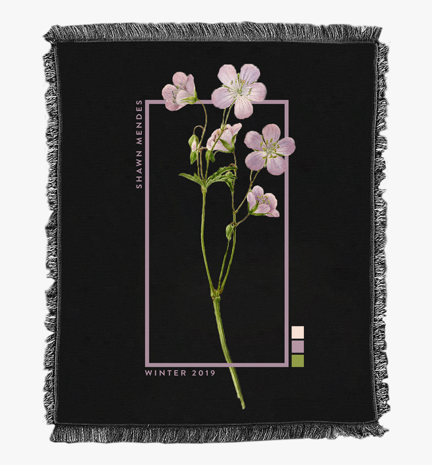 Gilliflower, HD Png Download