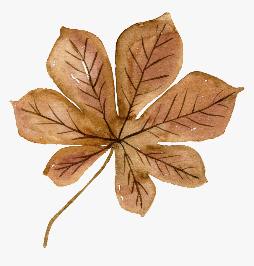 This Graphics Is Watercolor Brown Flowers Free Matting - Watercolor Transparent Brown Flower Png, Png Download