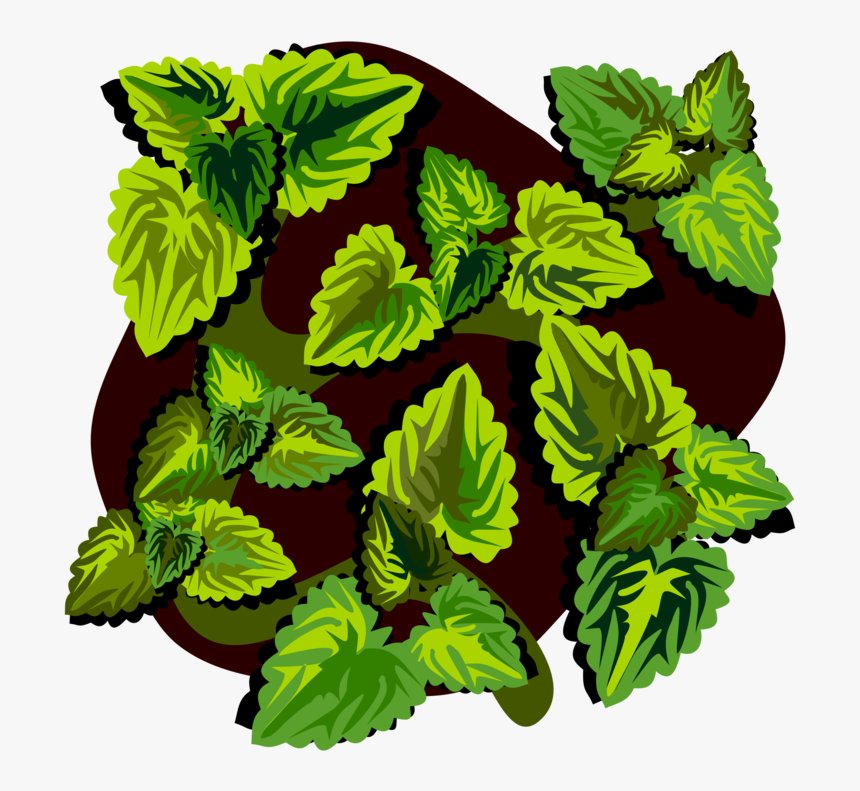 Plant,flower,leaf - Illustration, HD Png Download