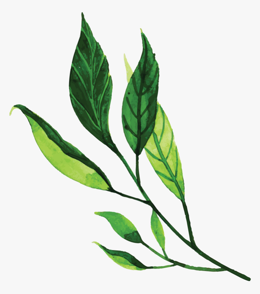 Clip Art, HD Png Download