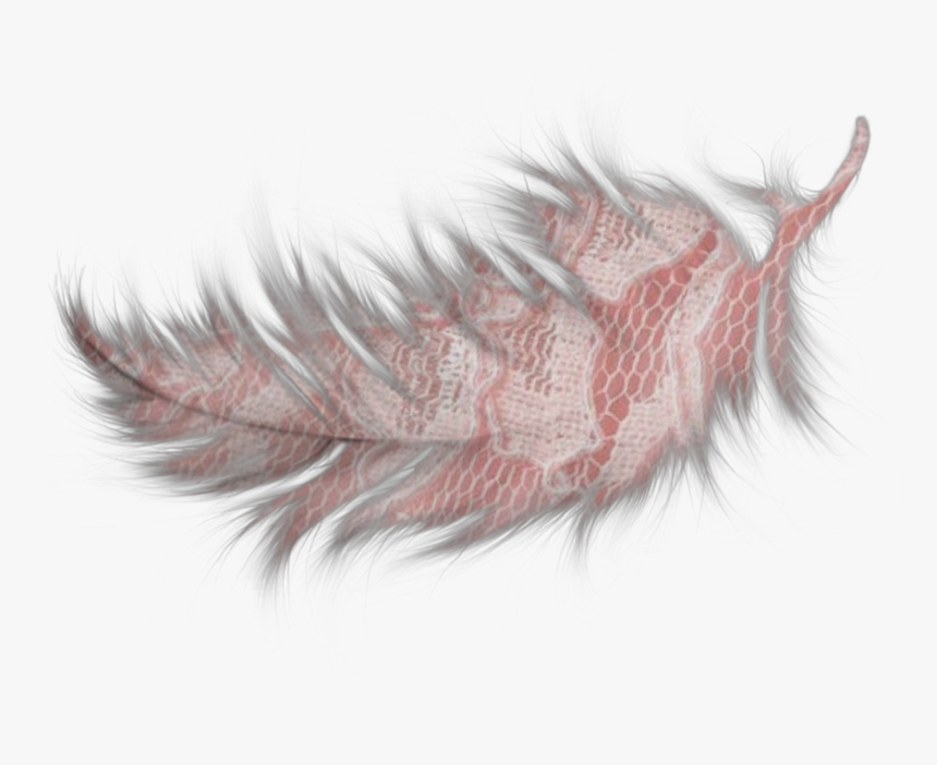 #feather #feathers #pink #decorate #inair #fly - Transparent Teal Blue Feathers, HD Png Download