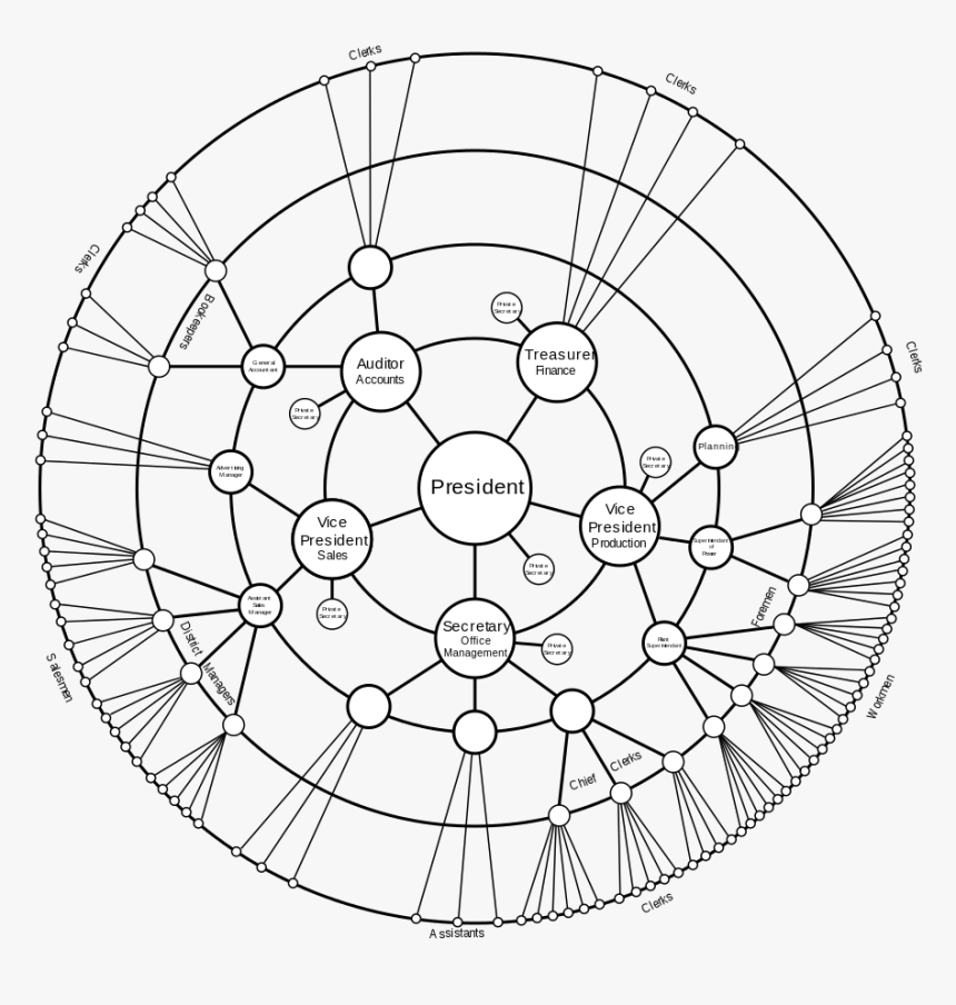 Radial Tree, HD Png Download