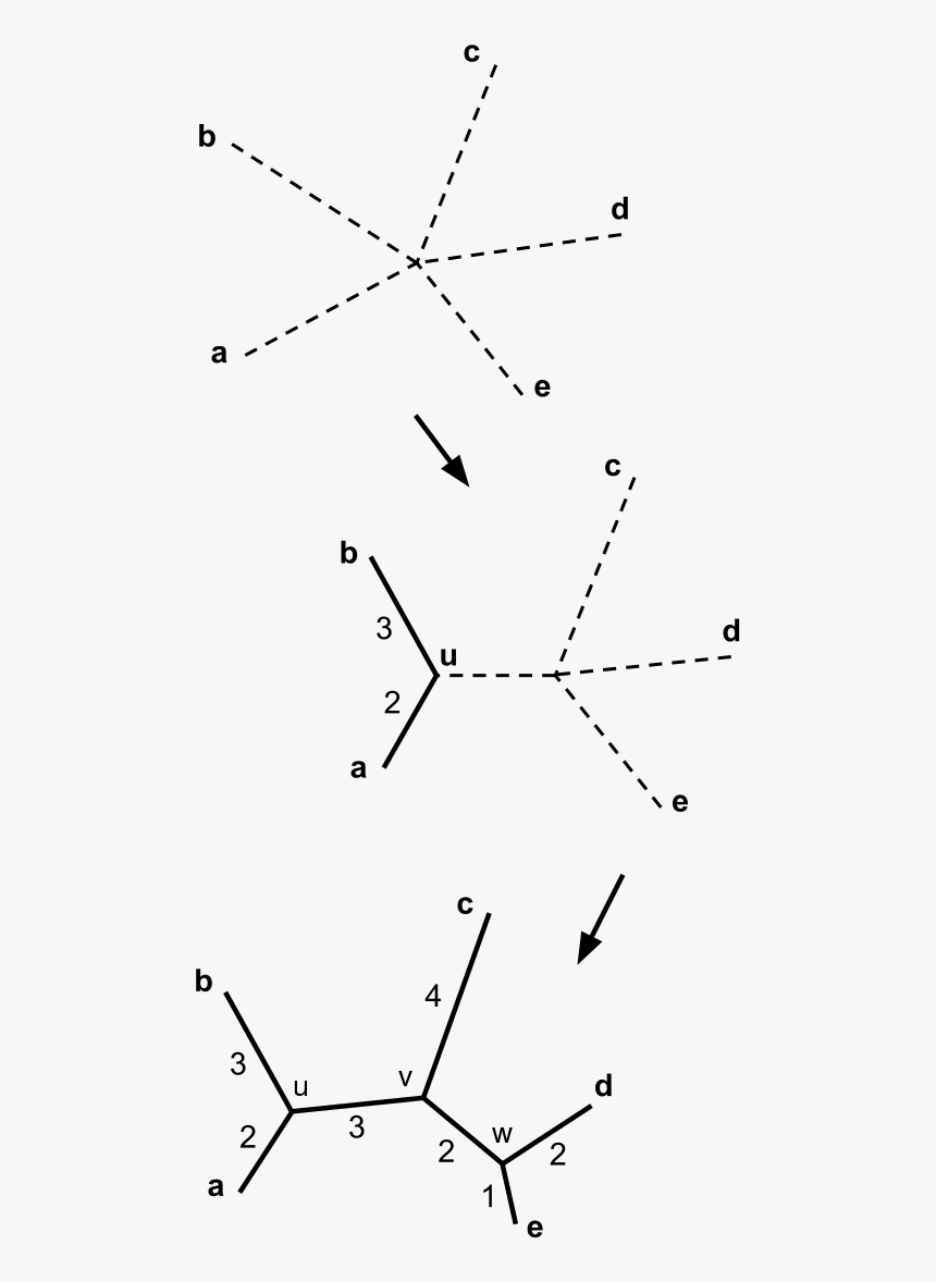 Neighbor Joining Method, HD Png Download