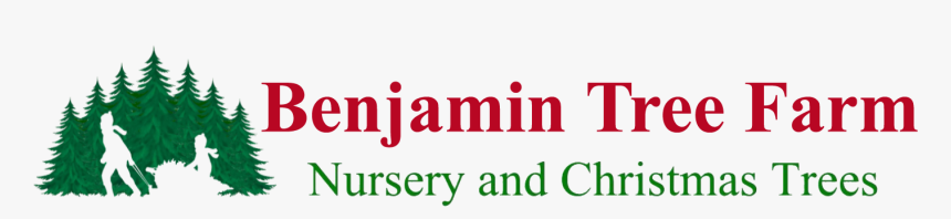 Christmas Tree Farm, HD Png Download