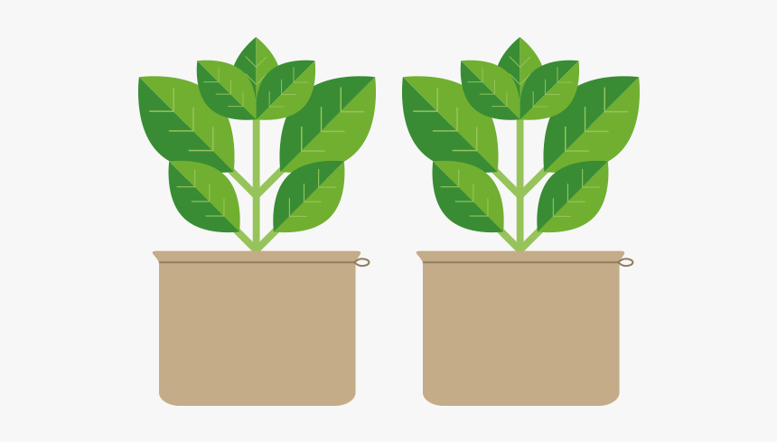 Clip Art, HD Png Download