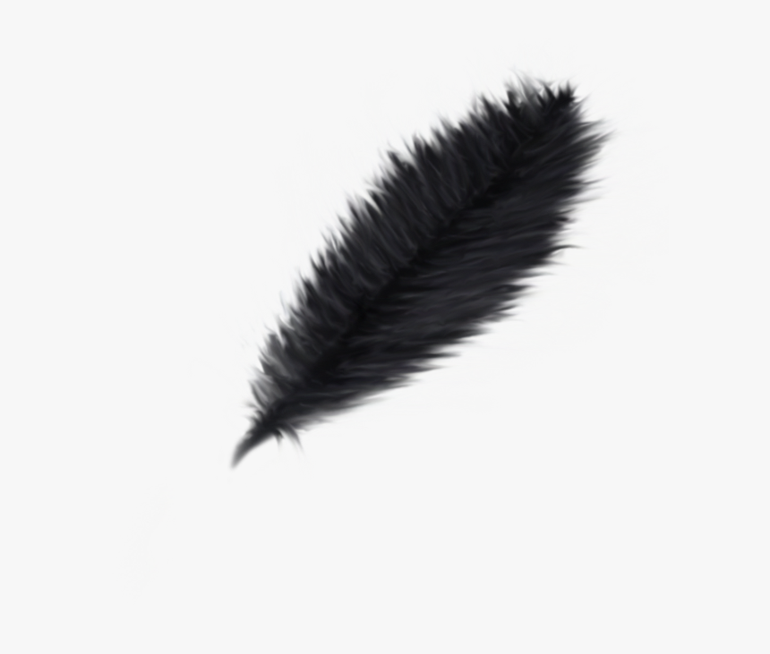 Thumb Image - Logo Pluma Negra Png, Transparent Png