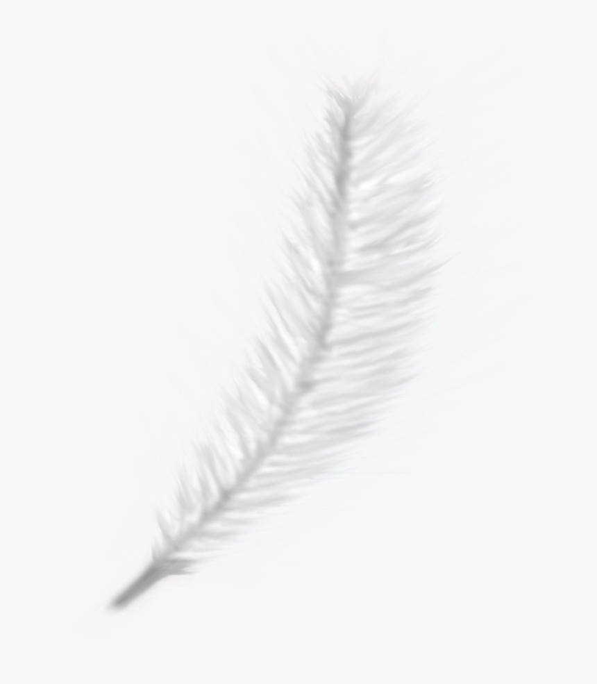 Thumb Image - Monochrome, HD Png Download