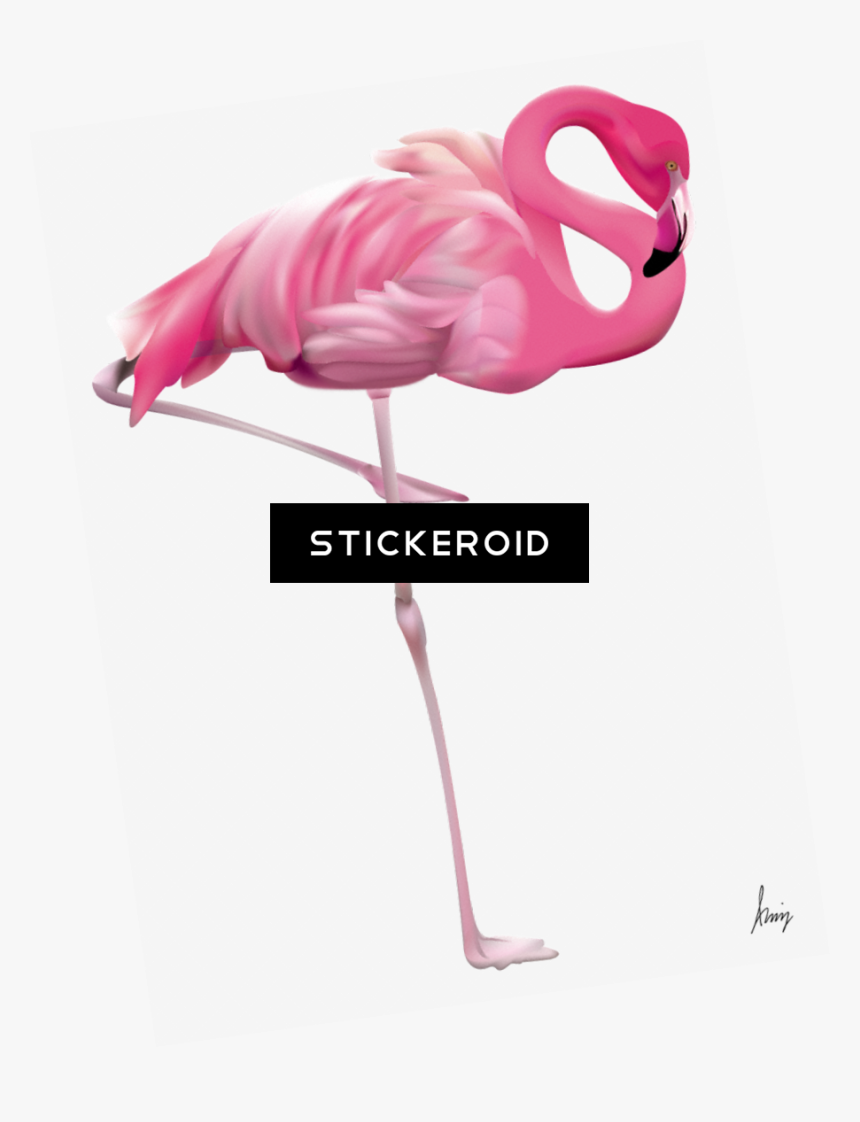 Flamingo Yard , Png Download - Portable Network Graphics, Transparent Png