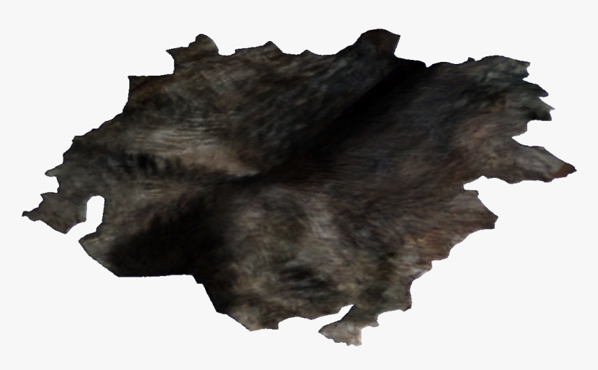 Dog Hide - Шкура Пнг, HD Png Download