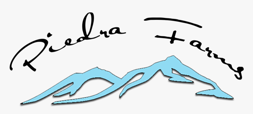 Picture, HD Png Download