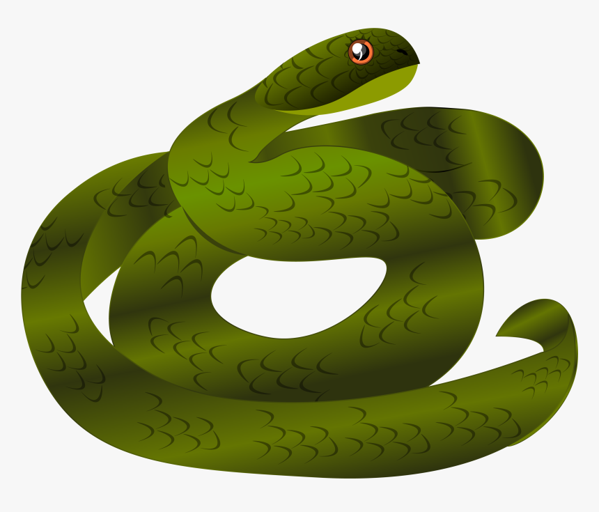 A Snake Icon Designed On Illustrator - Smooth Greensnake, HD Png Download