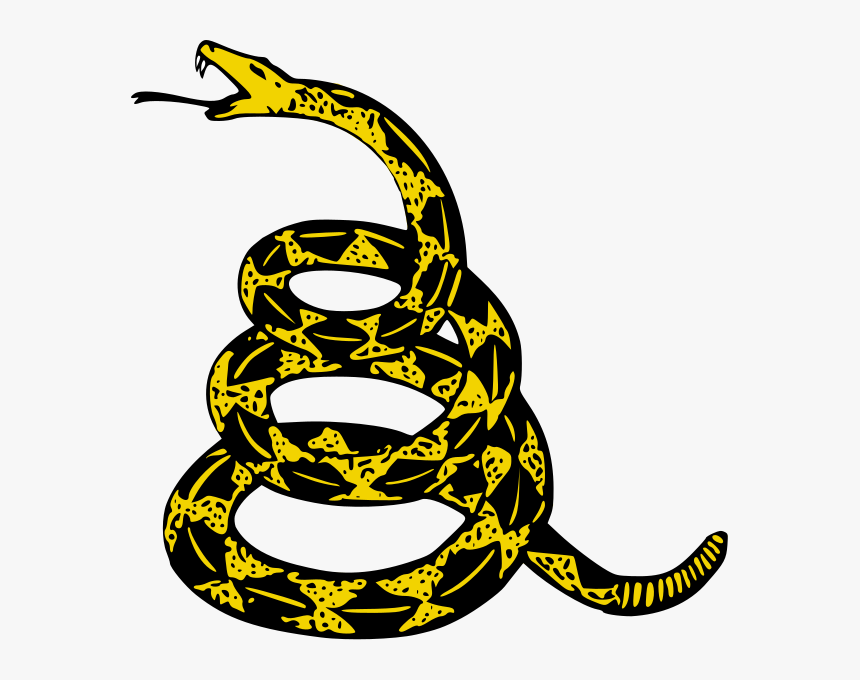 Collections At Sccpre Cat - Dont Tread On Me Pepe, HD Png Download