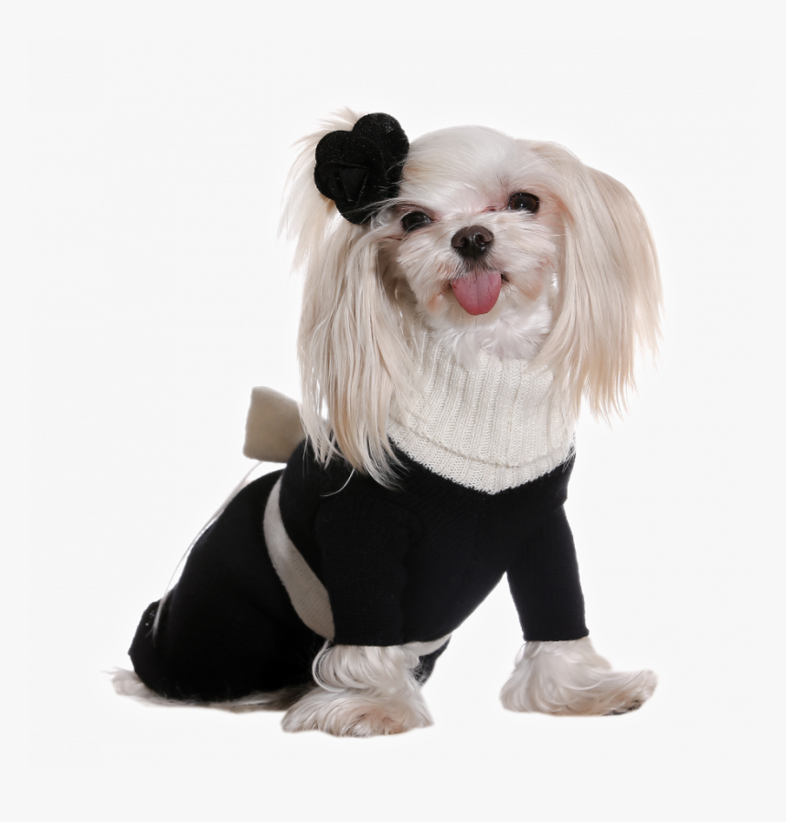 Transparent Princess Dress Png - Dog Costume Transparent Background, Png Download