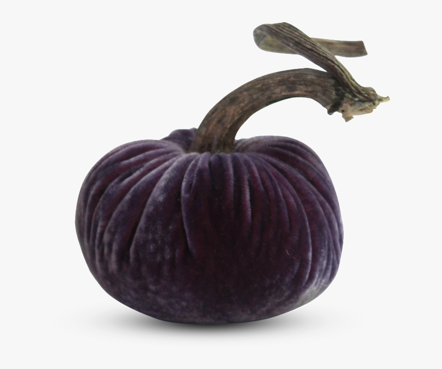 Purple Rain Trio 
 
 Data Image Id 15324887238 
 Class - Pumpkin, HD Png Download