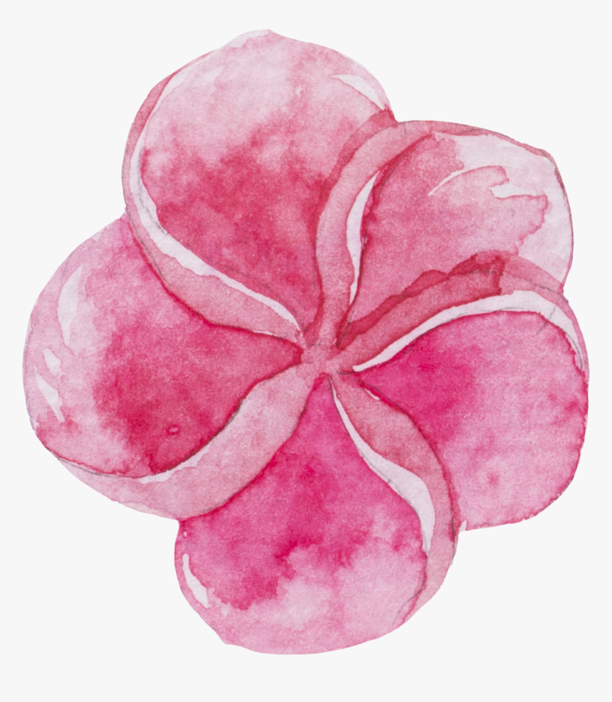 Transparent Sweet Pea Png - Watercolor Stickers Download, Png Download