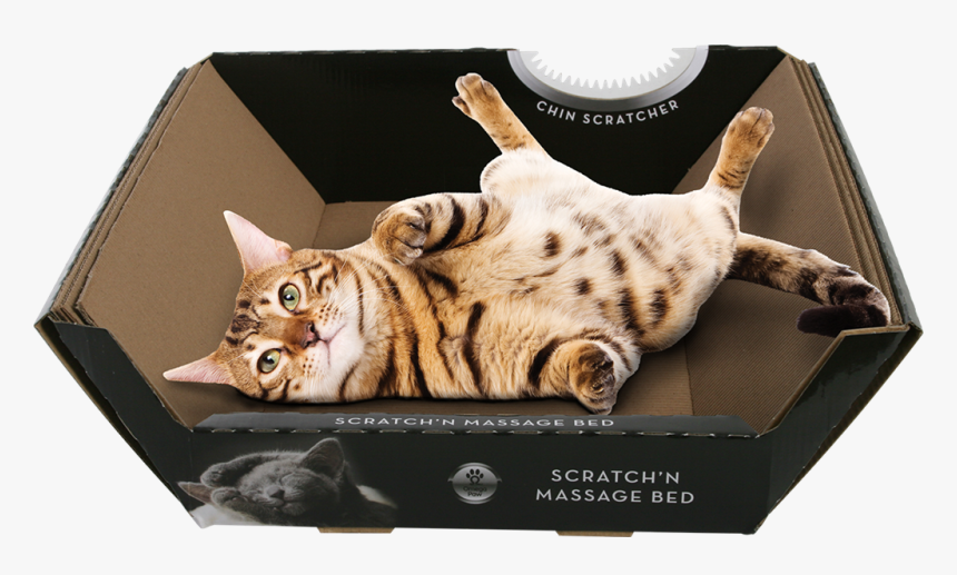 50563 2 - Tekturowe Legowisko Dla Kota, HD Png Download