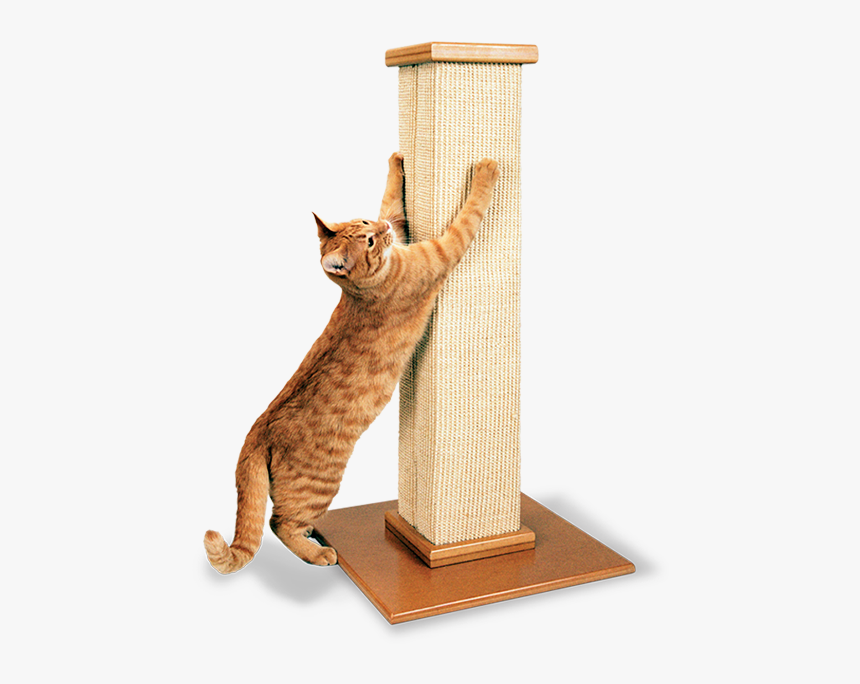 Cat Scratching Post, HD Png Download