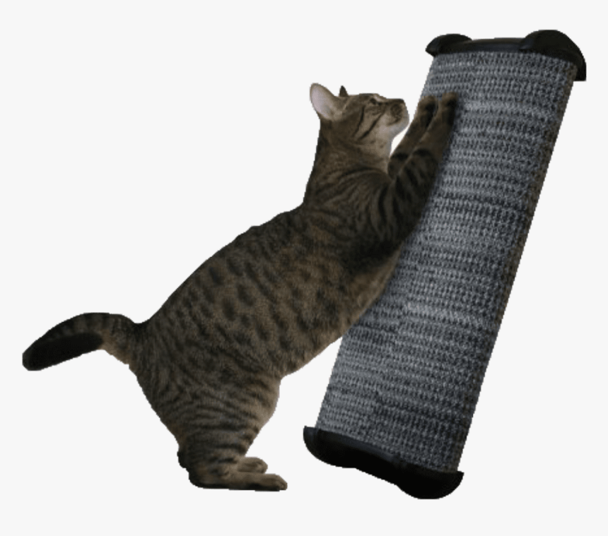 Scratching Post, HD Png Download