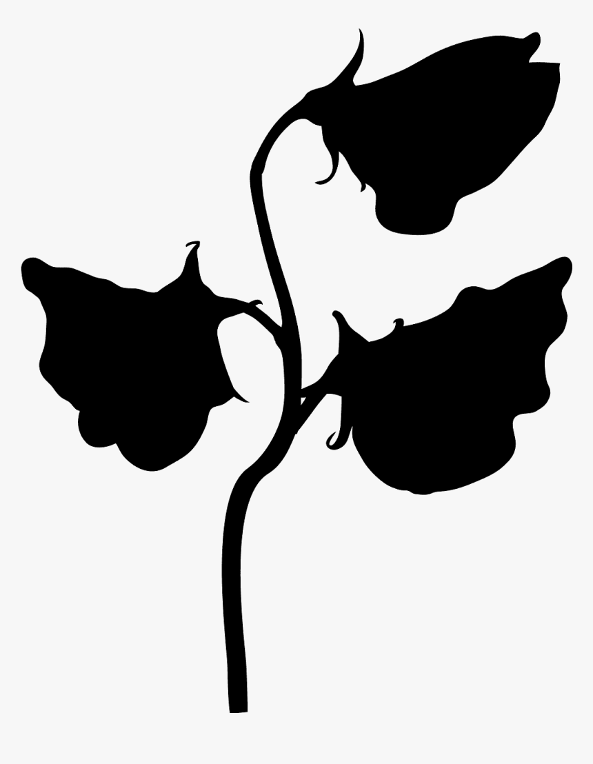 Black And White Sweet Pea, HD Png Download