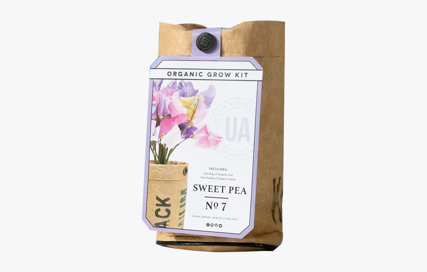 Lily, HD Png Download