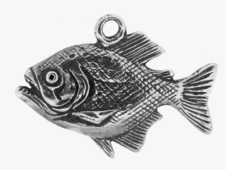Transparent Piranha Png - Bass, Png Download