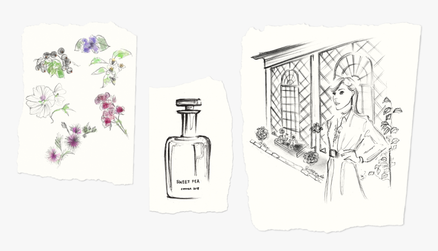 Peas Drawing Sweet Pea - Glass Bottle, HD Png Download