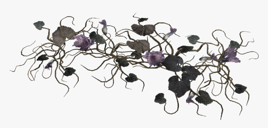 Fo4 Wild Melon Vine - Japanese Honeysuckle, HD Png Download