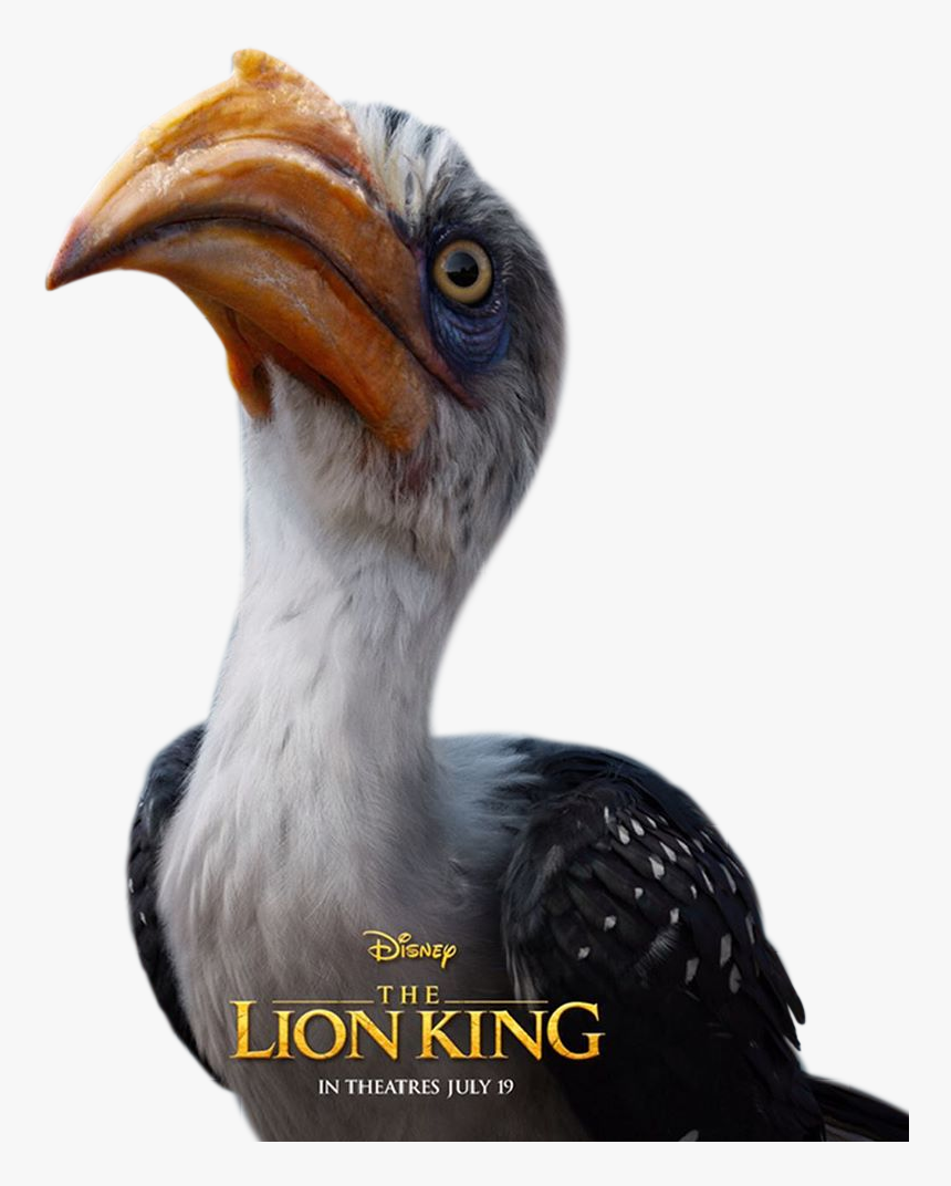 Lion King Characters Zazu